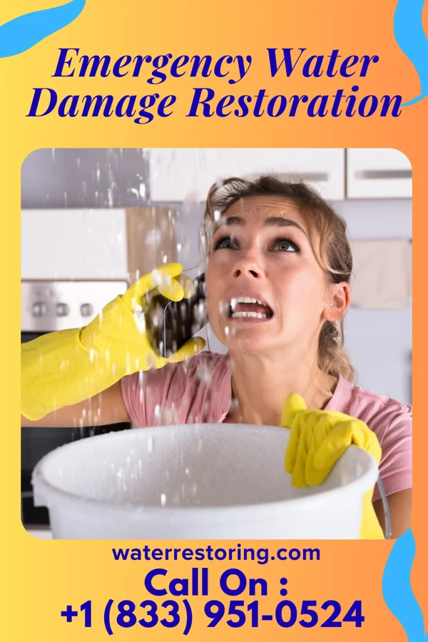 Emergency Water Damage Restoration in Mettawa, IL