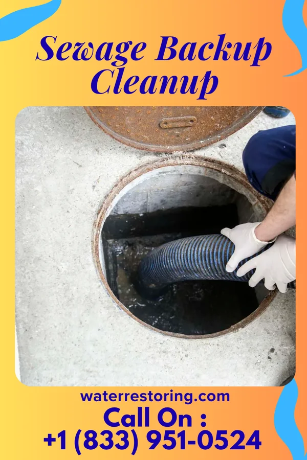 Sewage Backup Cleanup in Mettawa, IL